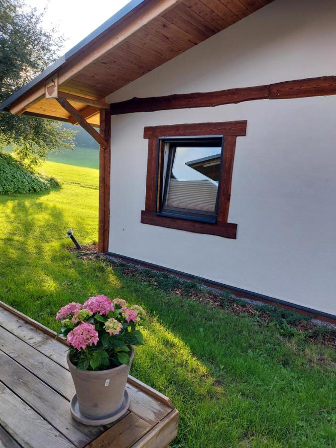 Elephants Ferienhaus Haus West Jahnsdorf  외부 사진